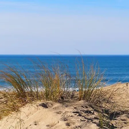 Διαμέρισμα Magnificent , 200m From The Beach. Labenne