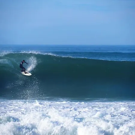 Magnificent , 200m From The Beach. Appartement *