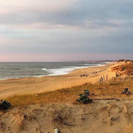 Magnificent , 200m From The Beach. Appartement