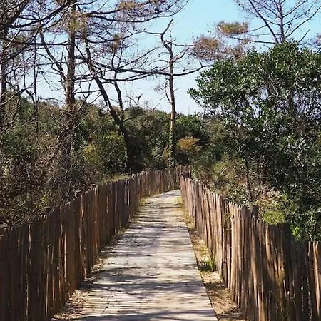 Appartement Magnificent , 200m From The Beach. *