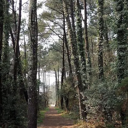 Magnificent , 200m From The Beach. Appartement