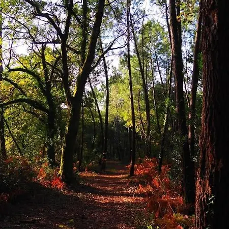 Magnificent , 200m From The Beach.