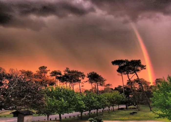 Magnificent , 200m From The Beach. *