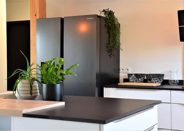 Magnificent , 200m From The Beach. * Labenne