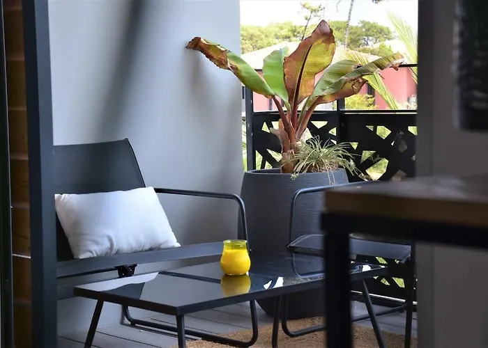 Magnificent , 200m From The Beach. Labenne