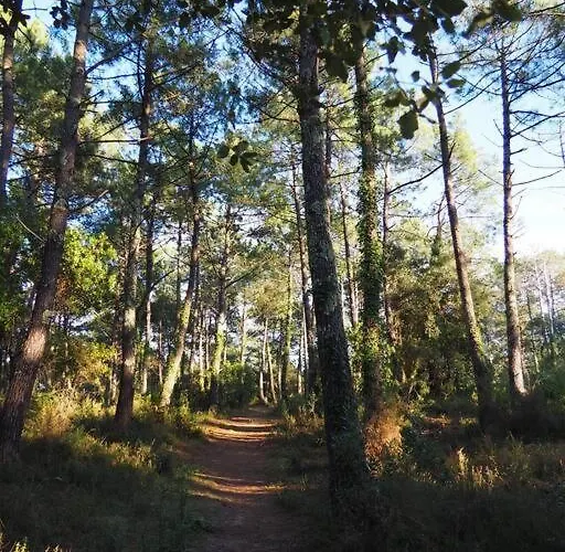 Magnificent , 200m From The Beach. * Labenne