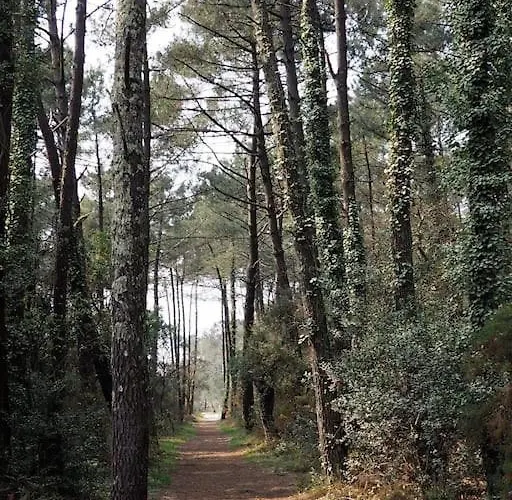 Magnificent , 200m From The Beach. Apartmán