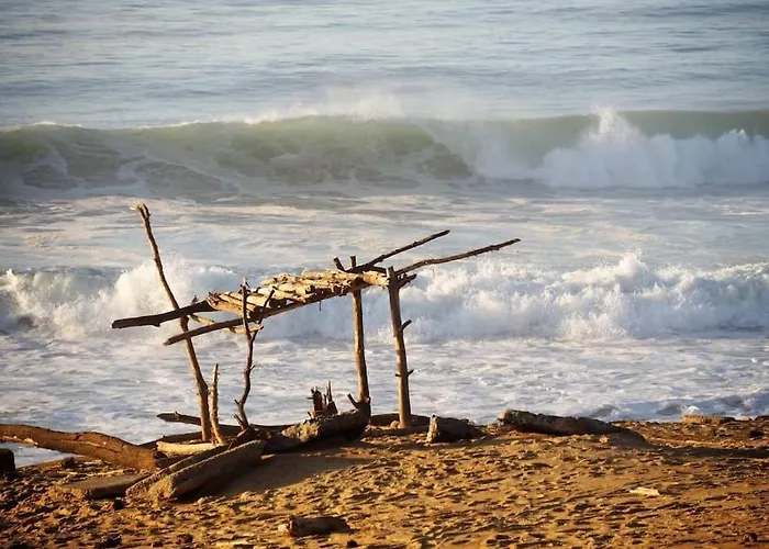 Apartmán Magnificent , 200m From The Beach. Labenne