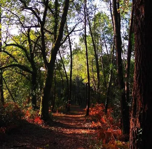 Magnificent , 200m From The Beach.