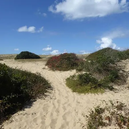 Magnificent , 200m From The Beach. Appartement *