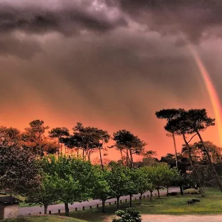 Magnificent , 200m From The Beach. *