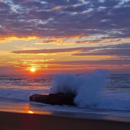 Magnificent , 200m From The Beach. *