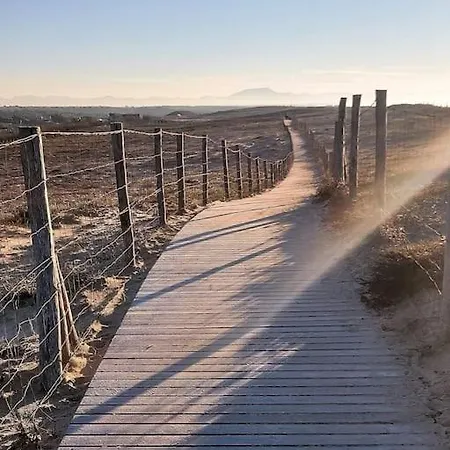 Appartement Magnificent , 200m From The Beach. *