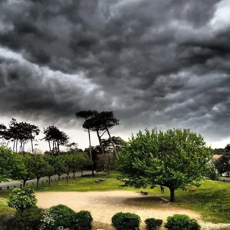 Magnificent , 200m From The Beach. Appartement *