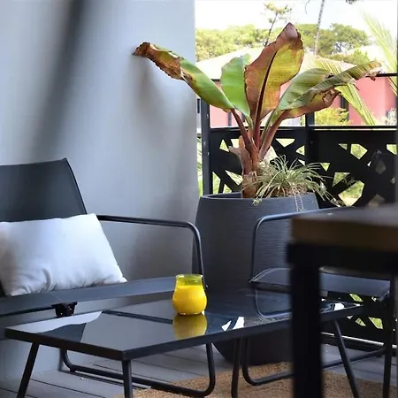 Magnificent , 200m From The Beach. Labenne