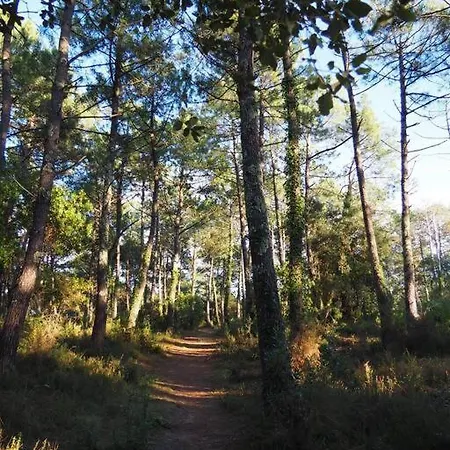 Magnificent , 200m From The Beach. * Labenne