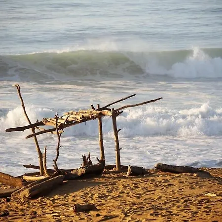 Appartement Magnificent , 200m From The Beach. Labenne