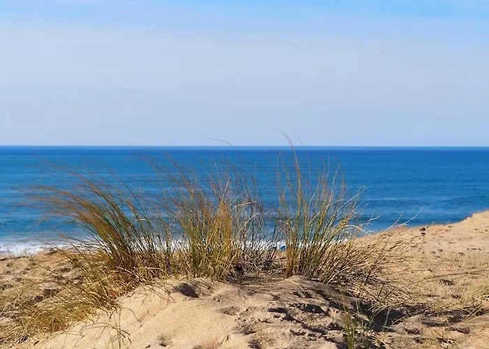 Апартаменты Magnificent , 200m From The Beach. Лабенн