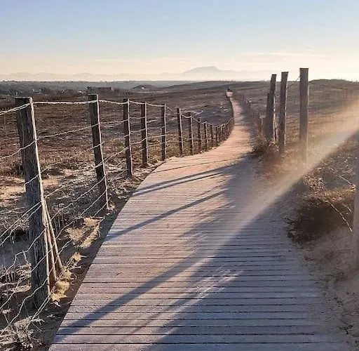 Апартаменты Magnificent , 200m From The Beach. *