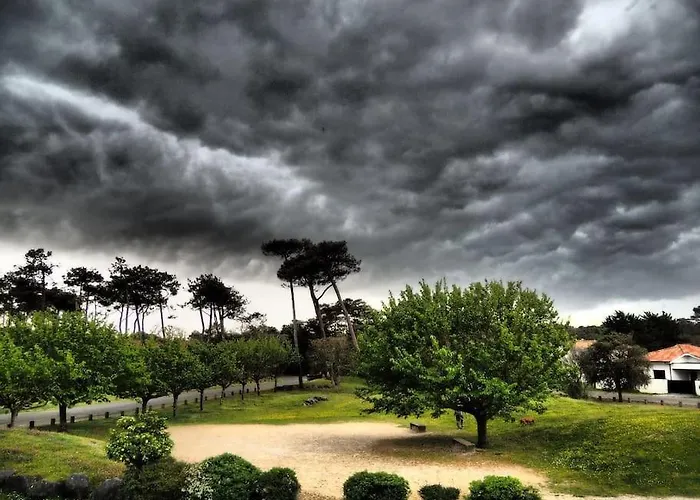 Magnificent , 200m From The Beach. Апартаменты *