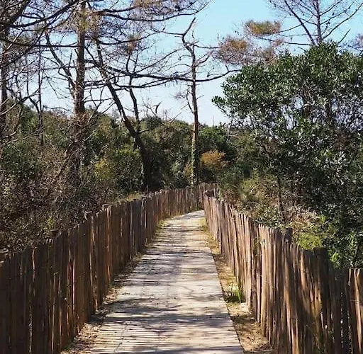 Апартаменты Magnificent , 200m From The Beach. *